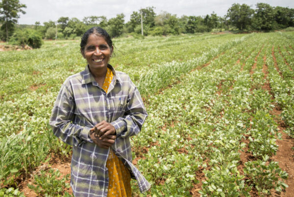 Groundnut farmer in India standing in a field