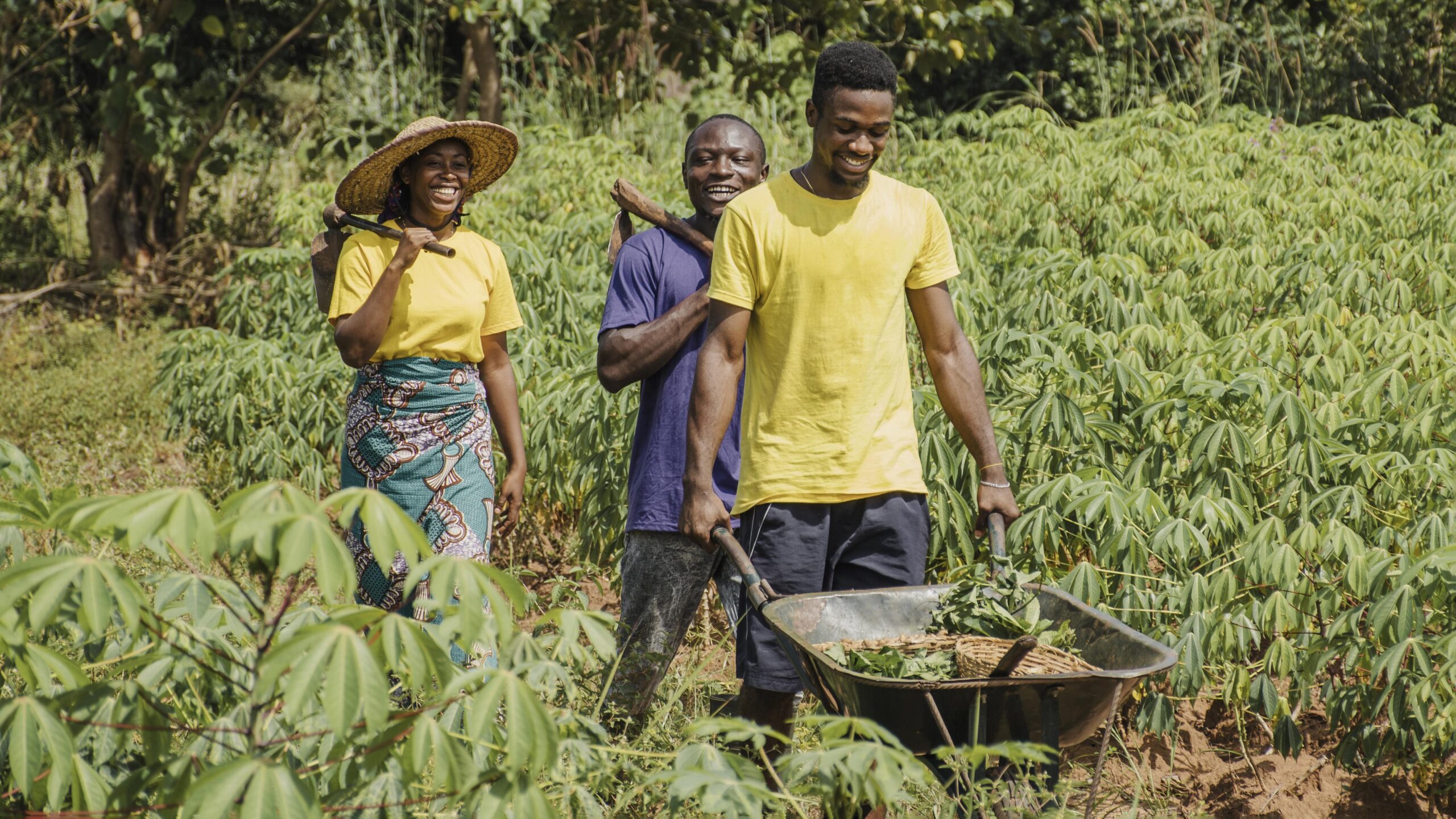 Farmers in a field